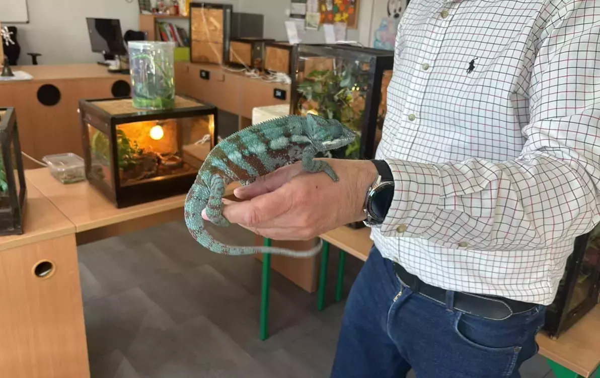 Zdjęcie do Zwierzęta egzotyczne